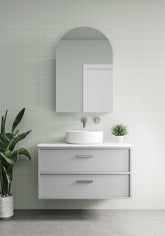 Elysium dual side vanity set & mirrors and green wall